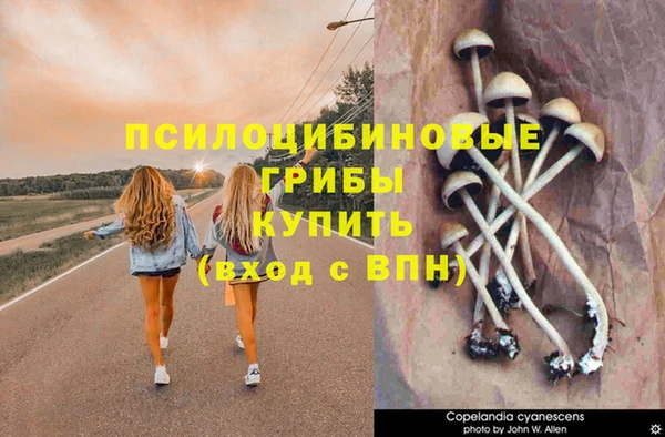 прущие крисы Пестово