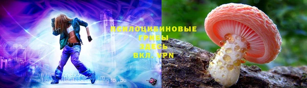 apvp Пересвет