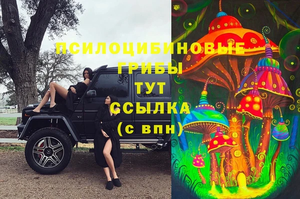 мескалин Покачи
