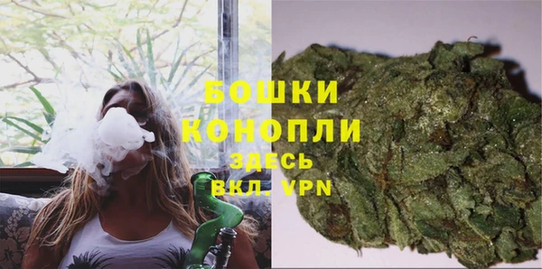 apvp Пересвет